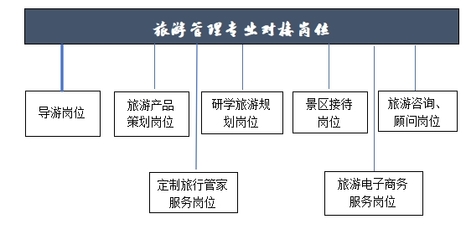 旅游管理与职业中介 协同发展，共创行业新机遇